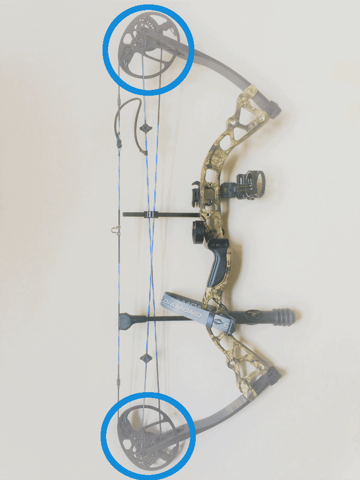 Compound Bow Cams