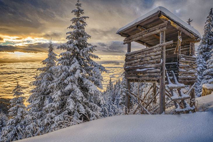 Classes -- Winter Stand