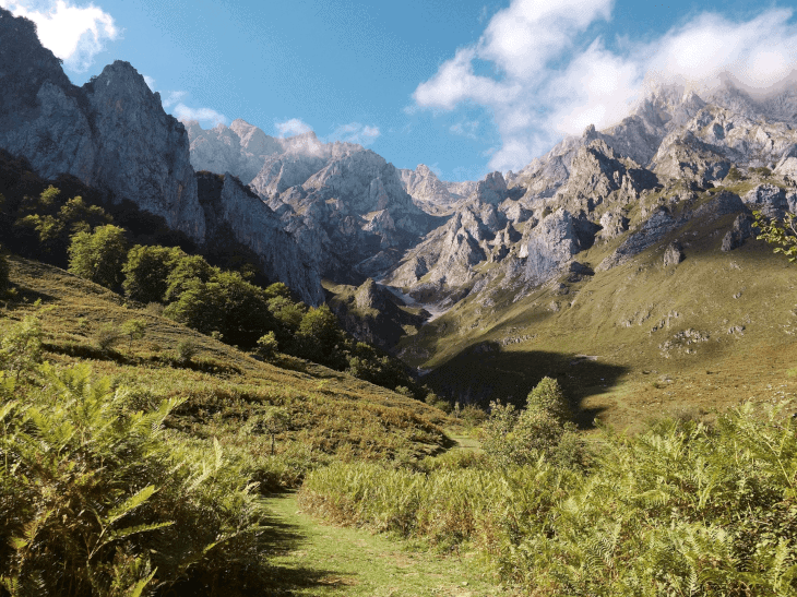 Mountain Landscape