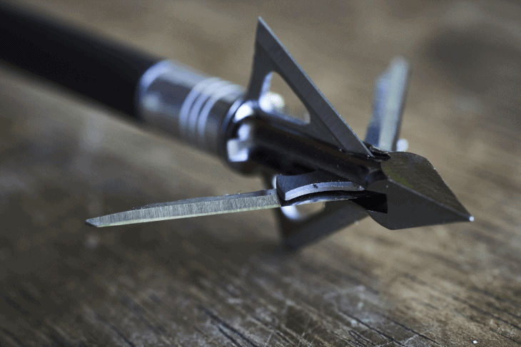 Broadhead with Chisel Tip