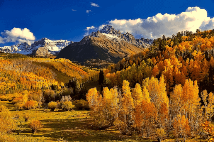 Autumn Outside