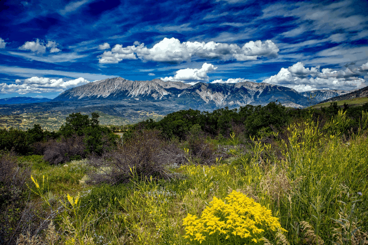 Mountain Range and Brush