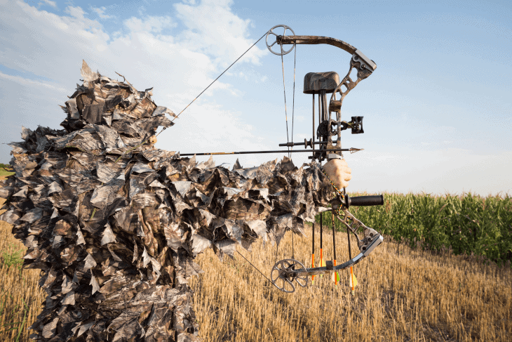 Example of a Compound Bow Example of a Compound Bow