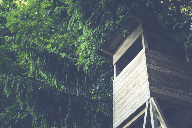 Shot of a tree Stand