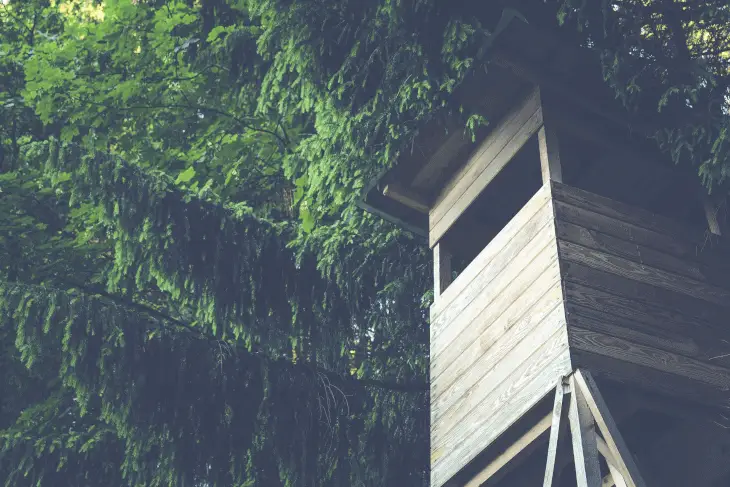 Shot of a tree Stand