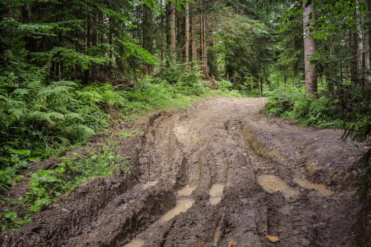 muddy trail