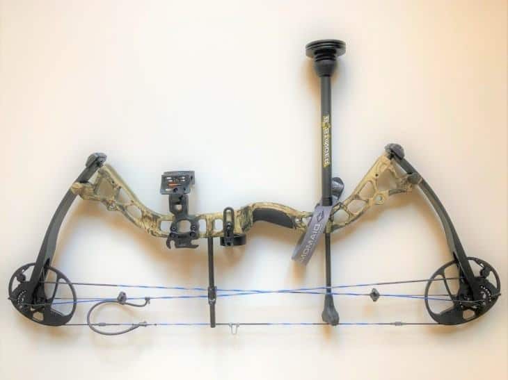 Bee Stinger Pro Hunter Maxx on Compound Bow