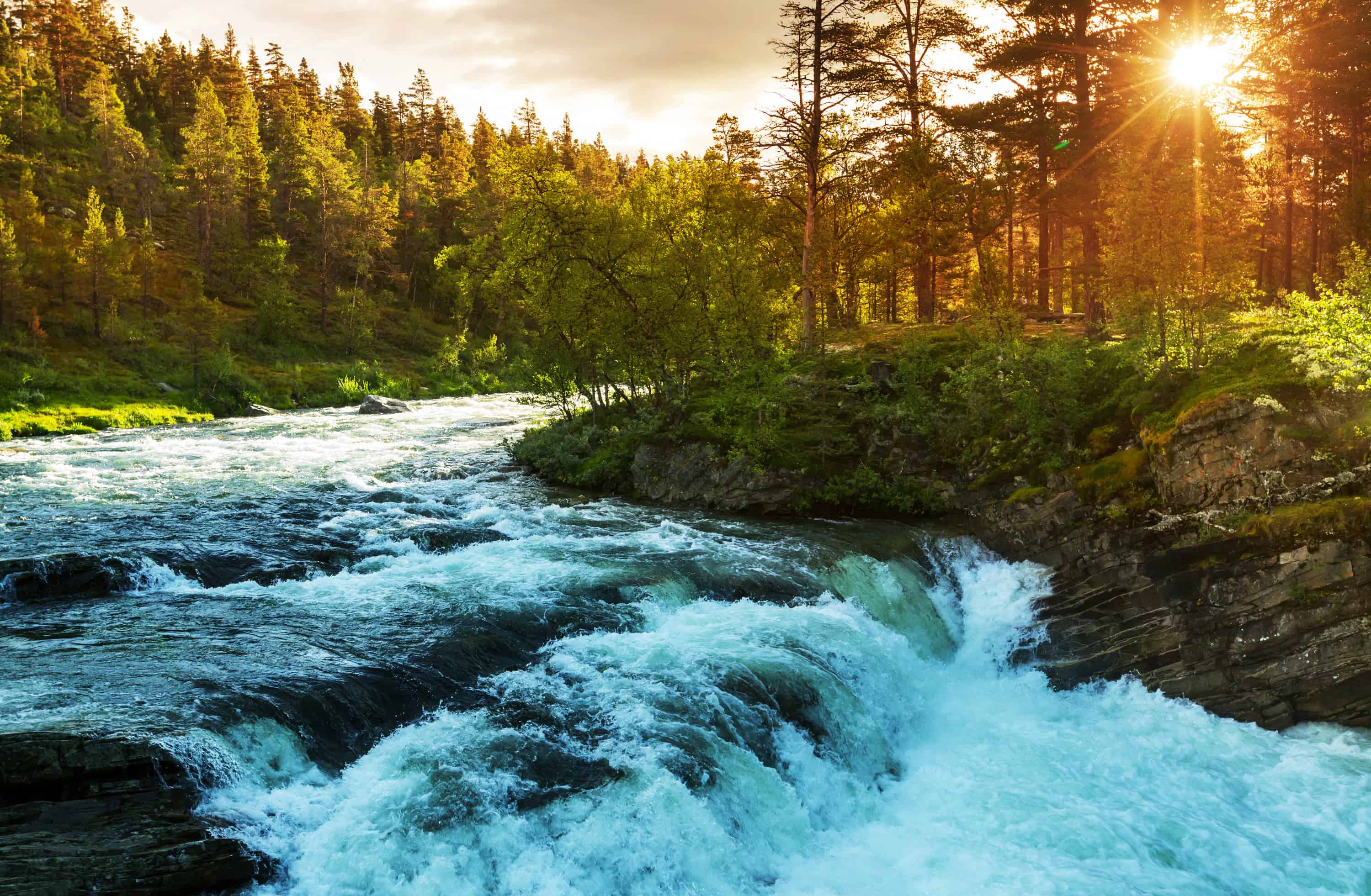 canstockphoto18860452