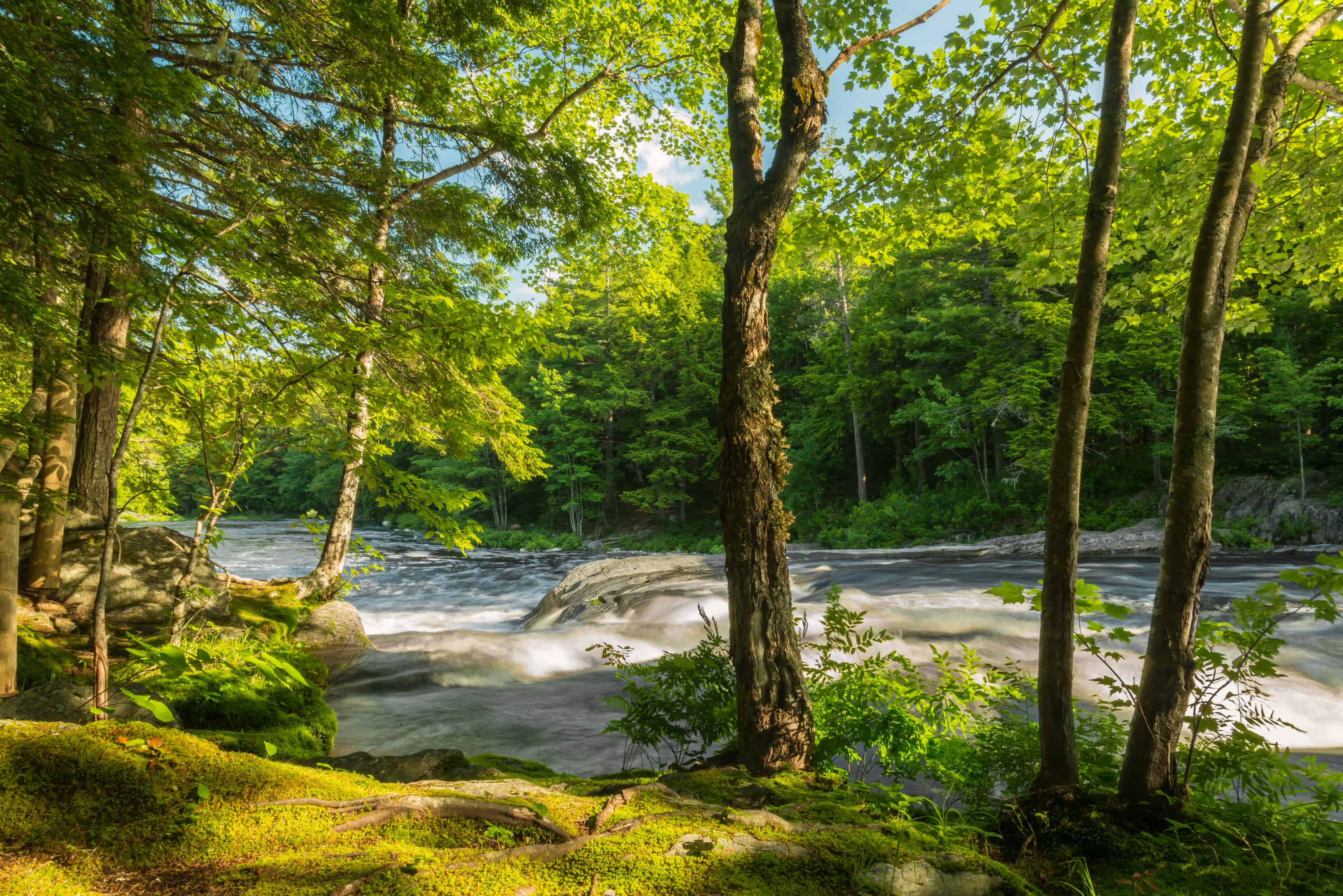 canstockphoto20771436