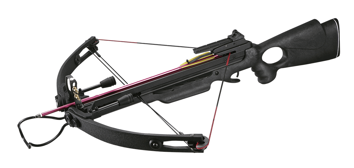 compound_crossbow2 compound crossbow