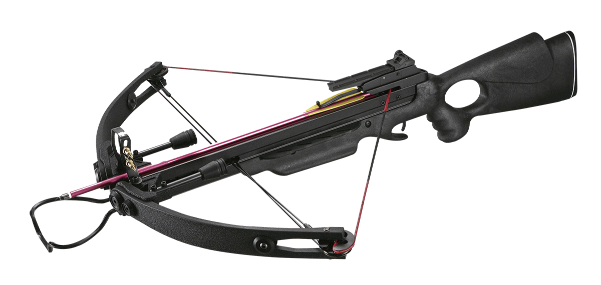 compound crossbow