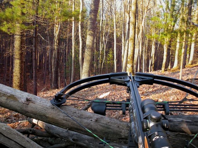 crossbow on tree trunk crossbow on tree trunk