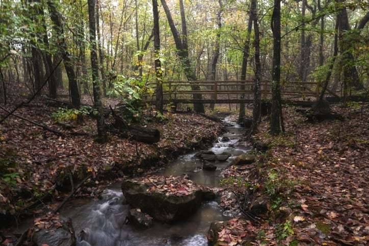 Footbridge crossing forest stream