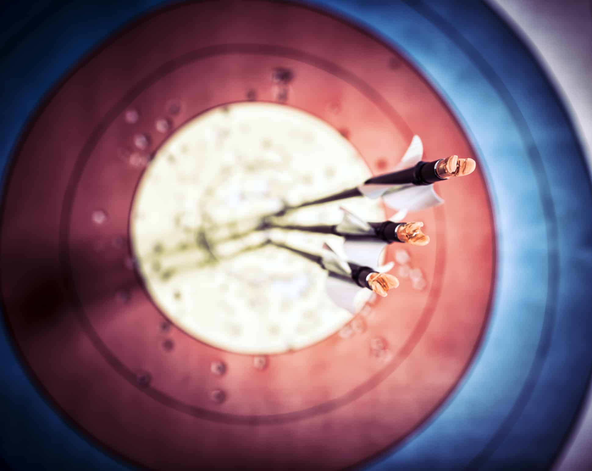 Archery Seasons The Complete Guide to Archery