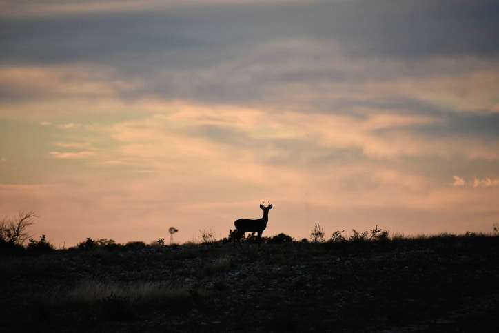 missouri archery season