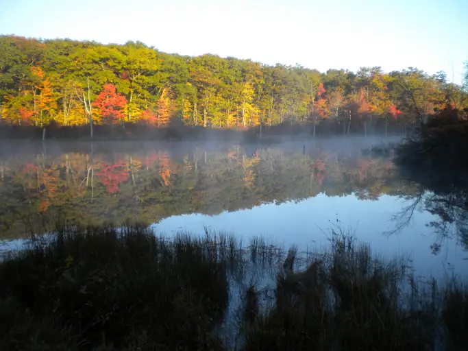 rhode island archery season