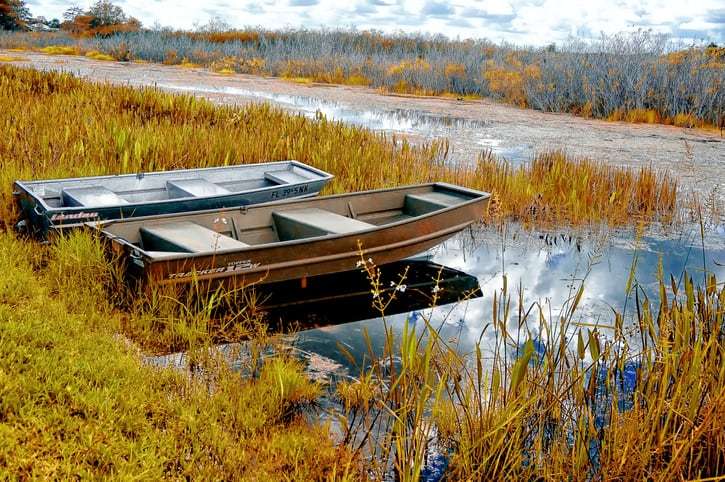 Boats in the marsh