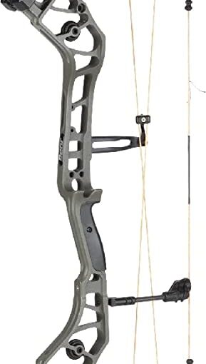 bear archery escalate