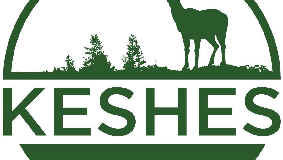 keshes logo